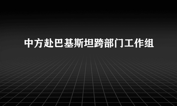 中方赴巴基斯坦跨部门工作组