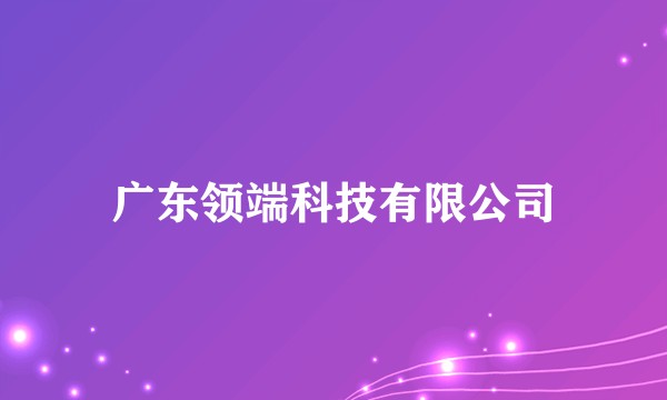 广东领端科技有限公司