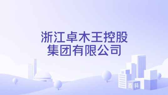 浙江卓木王控股集团有限公司