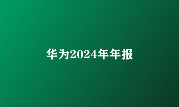 华为2024年年报