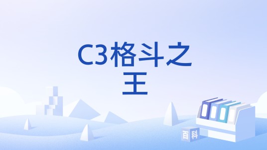 C3格斗之王