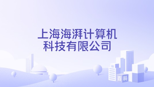 上海海湃计算机科技有限公司