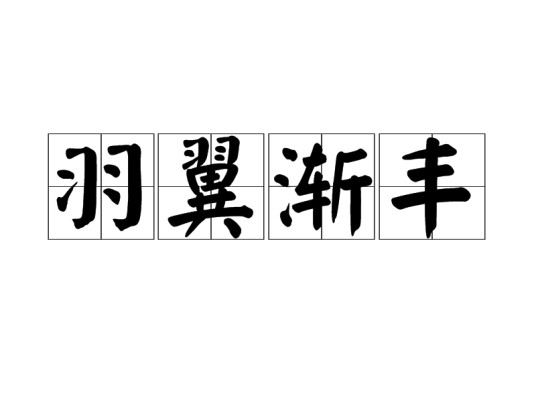 羽翼渐丰