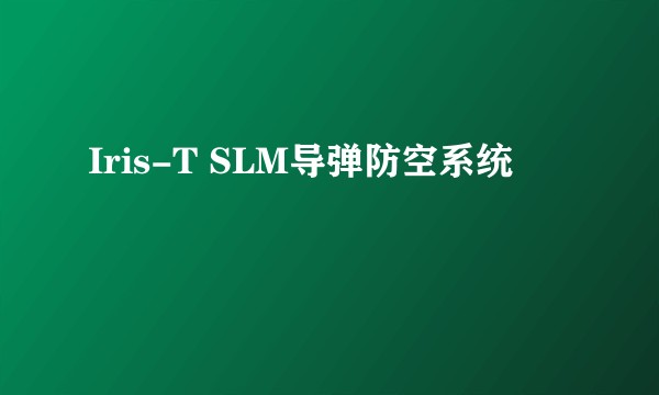 Iris-T SLM导弹防空系统