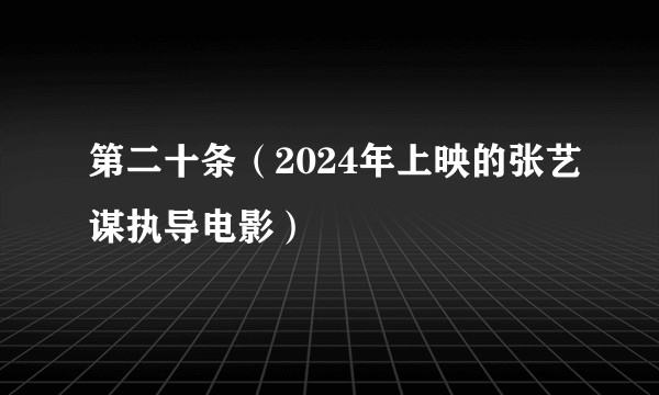 第二十条（2024年上映的张艺谋执导电影）
