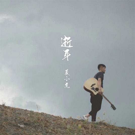 逝年（夏小虎演唱的民谣歌曲）