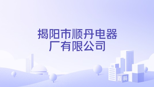 揭阳市顺丹电器厂有限公司