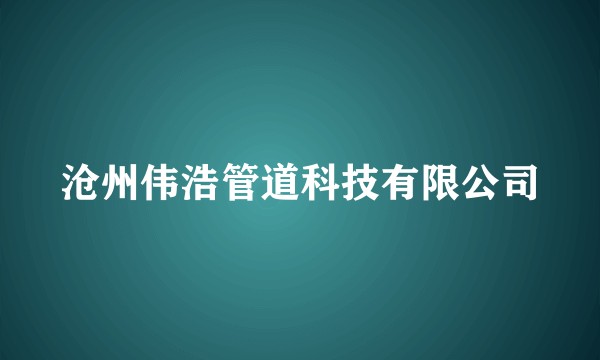 沧州伟浩管道科技有限公司