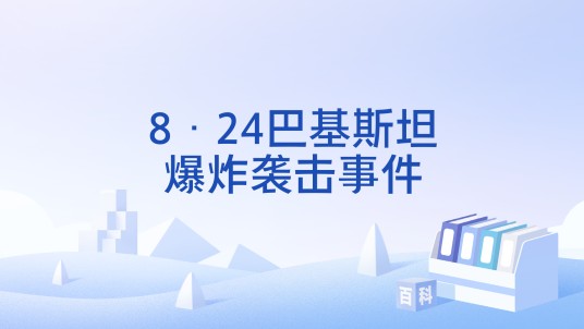 8·24巴基斯坦爆炸袭击事件