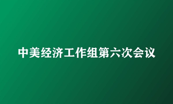 中美经济工作组第六次会议
