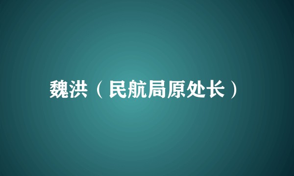 魏洪（民航局原处长）