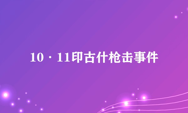 10·11印古什枪击事件