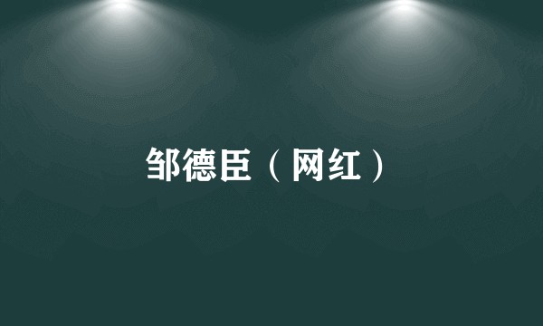 邹德臣(网红)
