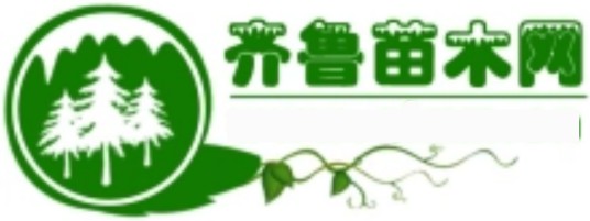 齐鲁苗木网