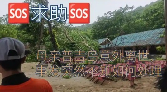 7·20中国女游客泰国游玩被大树砸中去世事件