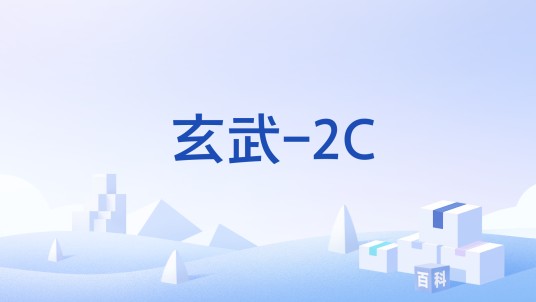 玄武-2C