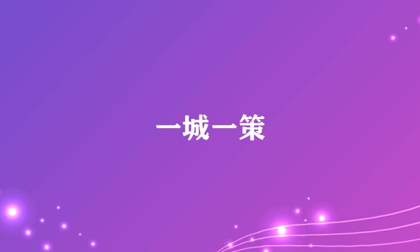 一城一策