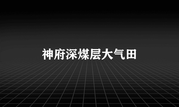 神府深煤层大气田