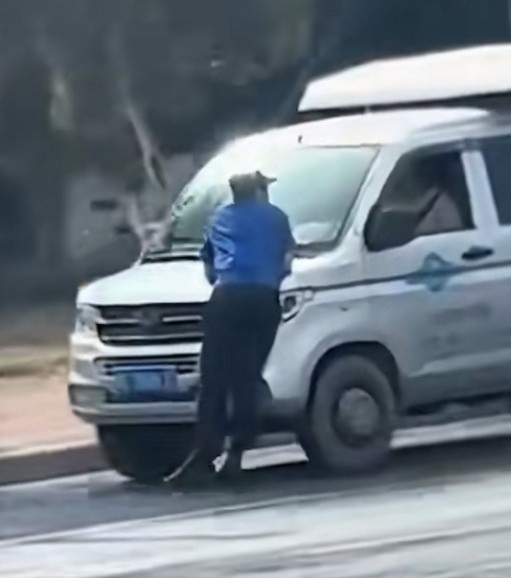5·6北海摊贩驾车顶撞执法人员事件