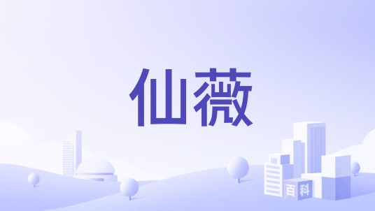 仙薇