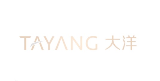 大洋集团控股有限公司