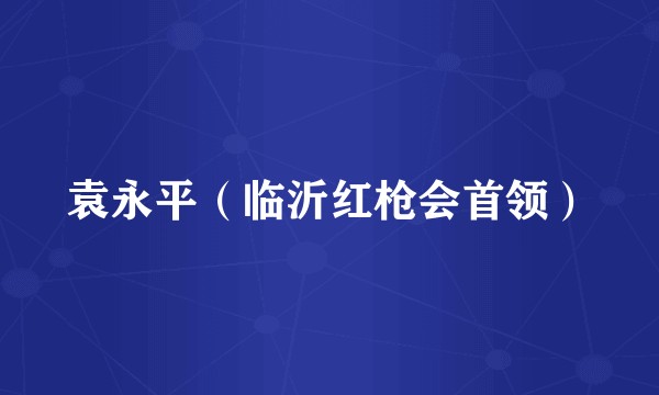 袁永平（临沂红枪会首领）