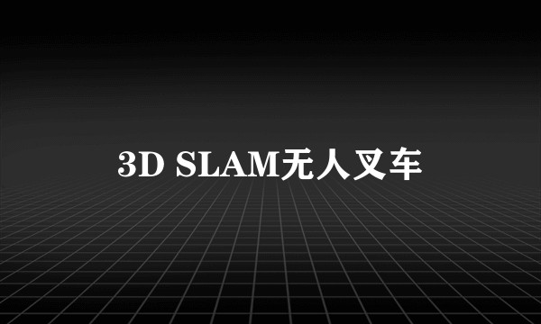 3D SLAM无人叉车