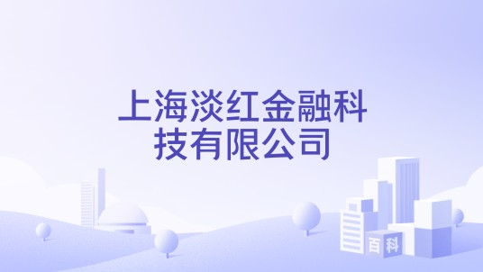 上海淡红金融科技有限公司