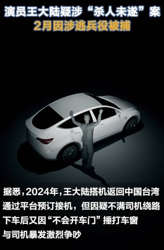 2024年王大陆“伤害罪”案