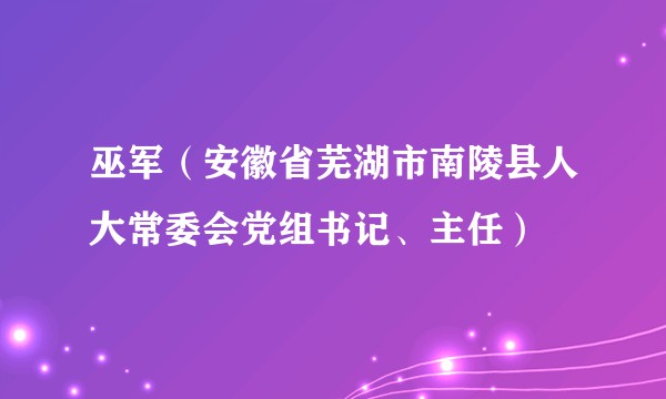 巫军（安徽省芜湖市南陵县人大常委会党组书记、主任）