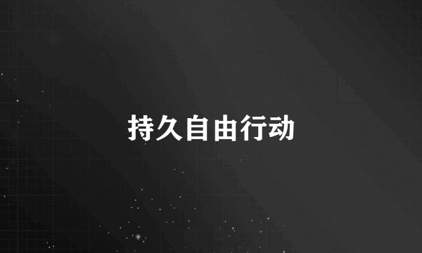 持久自由行动