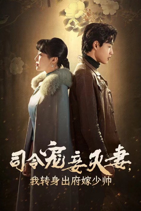司令宠妾灭妻，我转身出府嫁少帅