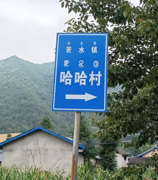 哈哈村（四川省凉山彝族自治州冕宁县若水镇下辖村）