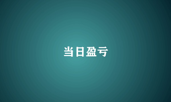 当日盈亏