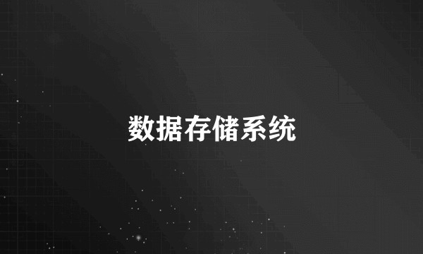 数据存储系统