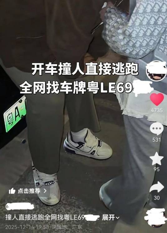 12·14广州男子撞伤人逃逸事件