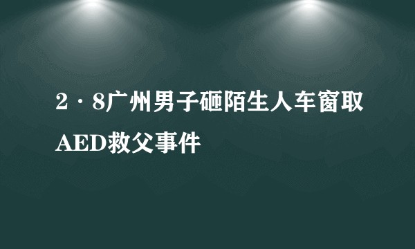 2·8广州男子砸陌生人车窗取AED救父事件