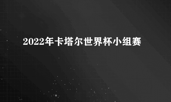 2022年卡塔尔世界杯小组赛