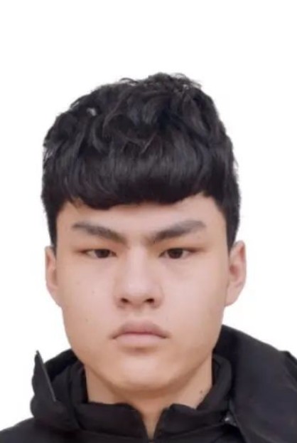 刘杨（缅北地区涉诈在逃人员）