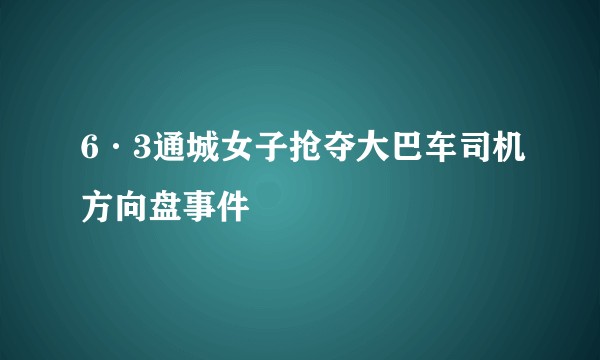 6·3通城女子抢夺大巴车司机方向盘事件