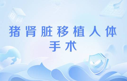 猪肾脏移植人体手术