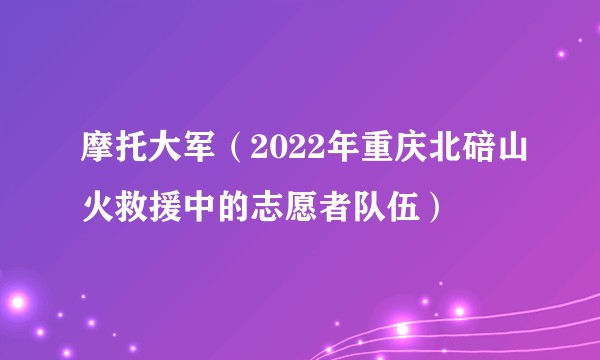 摩托大军（2022年重庆北碚山火救援中的志愿者队伍）