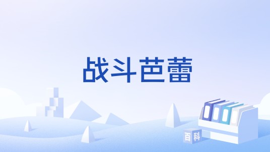 战斗芭蕾