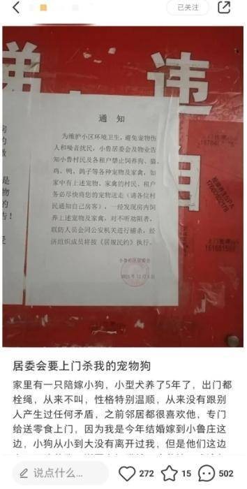 12·5济南社区“捕杀宠物家禽”事件