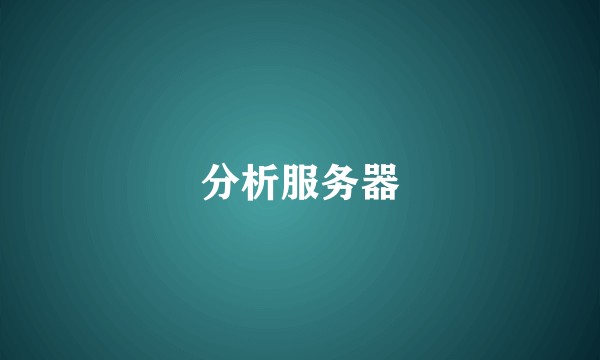 分析服务器