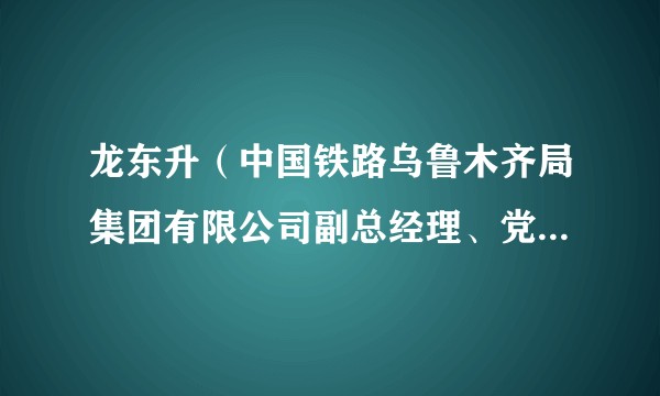 龙东升（中国铁路乌鲁木齐局集团有限公司副总经理、党委委员）