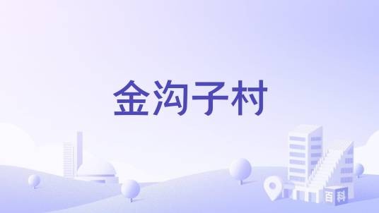 金沟子村（辽宁省铁岭市开原市金沟子镇下辖村）