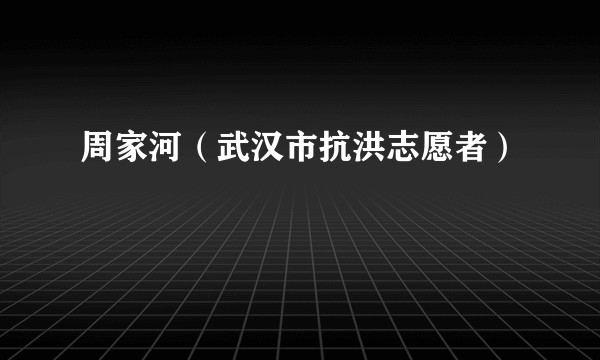 周家河（武汉市抗洪志愿者）