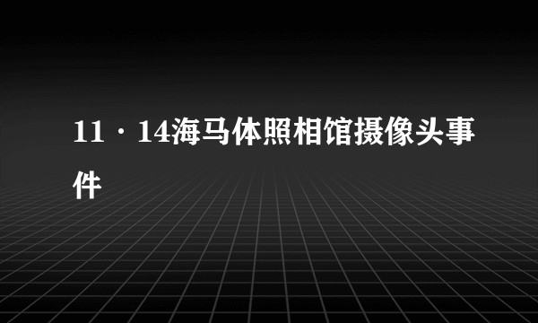 11·14海马体照相馆摄像头事件