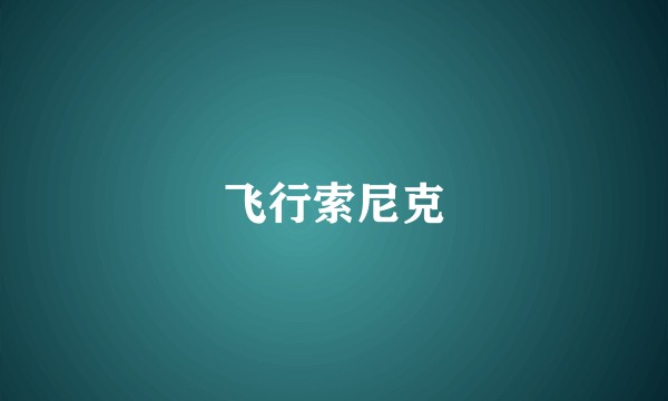 飞行索尼克